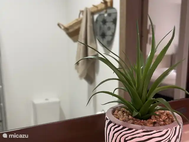 Casa Lotus | Espagne, Costa Blanca, Pilar de la Horadada - appartement Salle de bain 2
