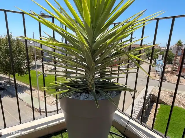 Casa Lotus | Espagne, Costa Blanca, Pilar de la Horadada - appartement Toit