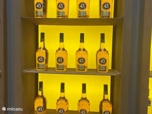 Casa Lotus | Espagne, Costa Blanca, Pilar de la Horadada - appartement Experiencia licor 43.