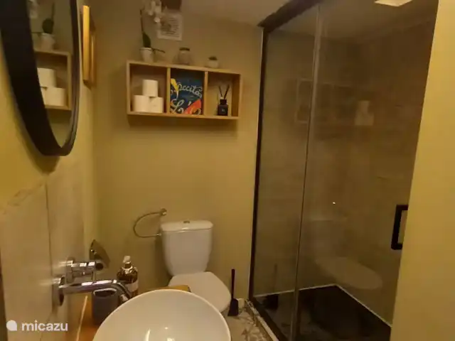 Location de Vacances France, Dordogne, Rudeau-Ladosse, gîte / cottage - La Pipistrelle Salle de Bains