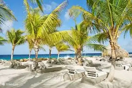 Plage de Jan Thiel