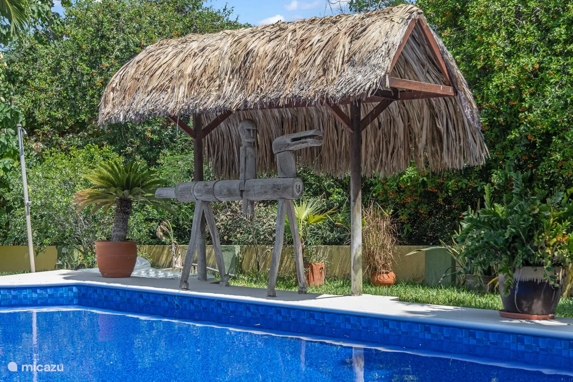 Caballo en la piscina