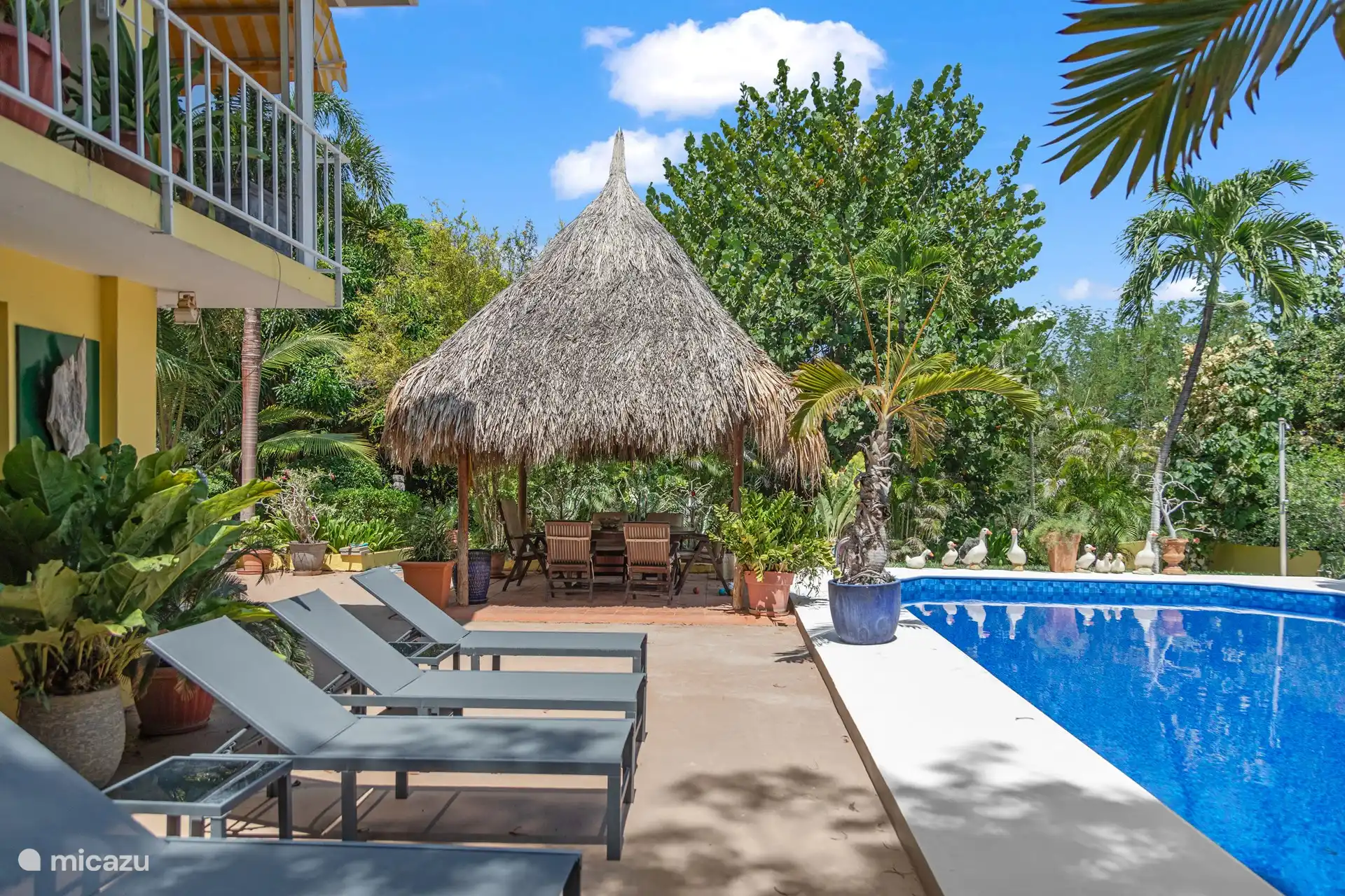 Palapa con hoffi al fondo