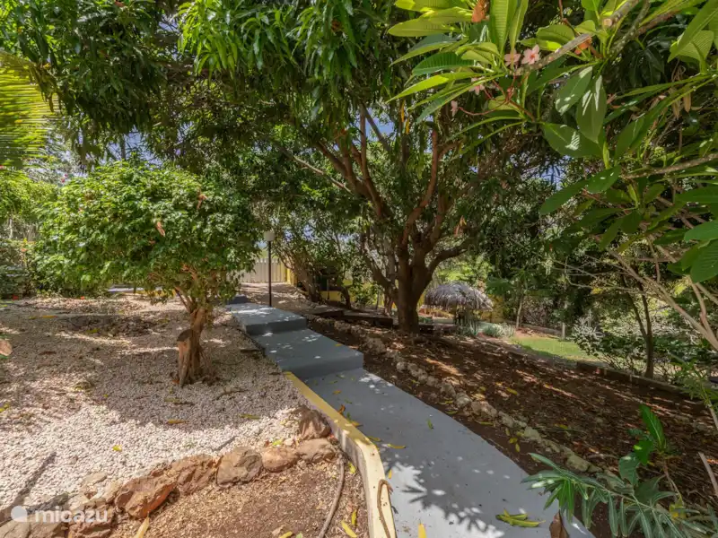 Villa Cas Grandi | Curaçao, Banda Ariba (est), Cas Grandi - Villa Villa Cas Grandi | Curaçao, Banda Ariba (est), Cas Grandi - Villa