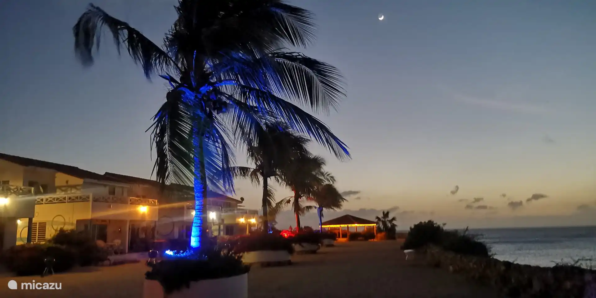Der Garten mit Palmen und Pavillon