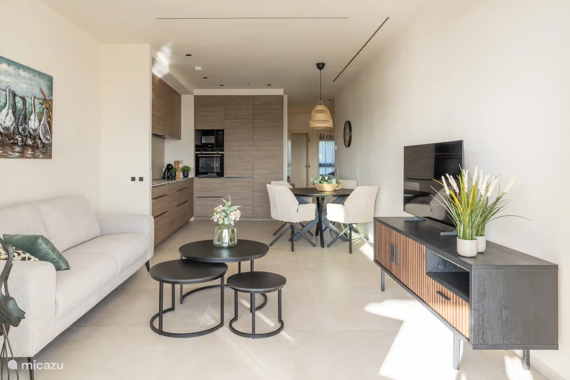 Luxuriously furnished apartment