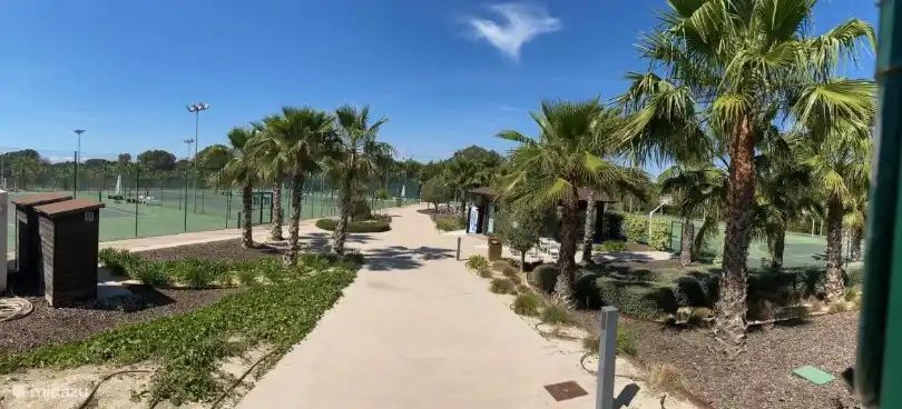 Tennis- und Paddle-Plätze 