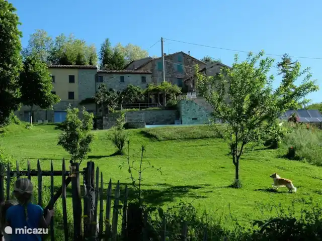 Location de Vacances Italie, Émilie-Romagne, Sogliano al Rubicone, appartement - Casa Calénc Piano terra Notre jardin