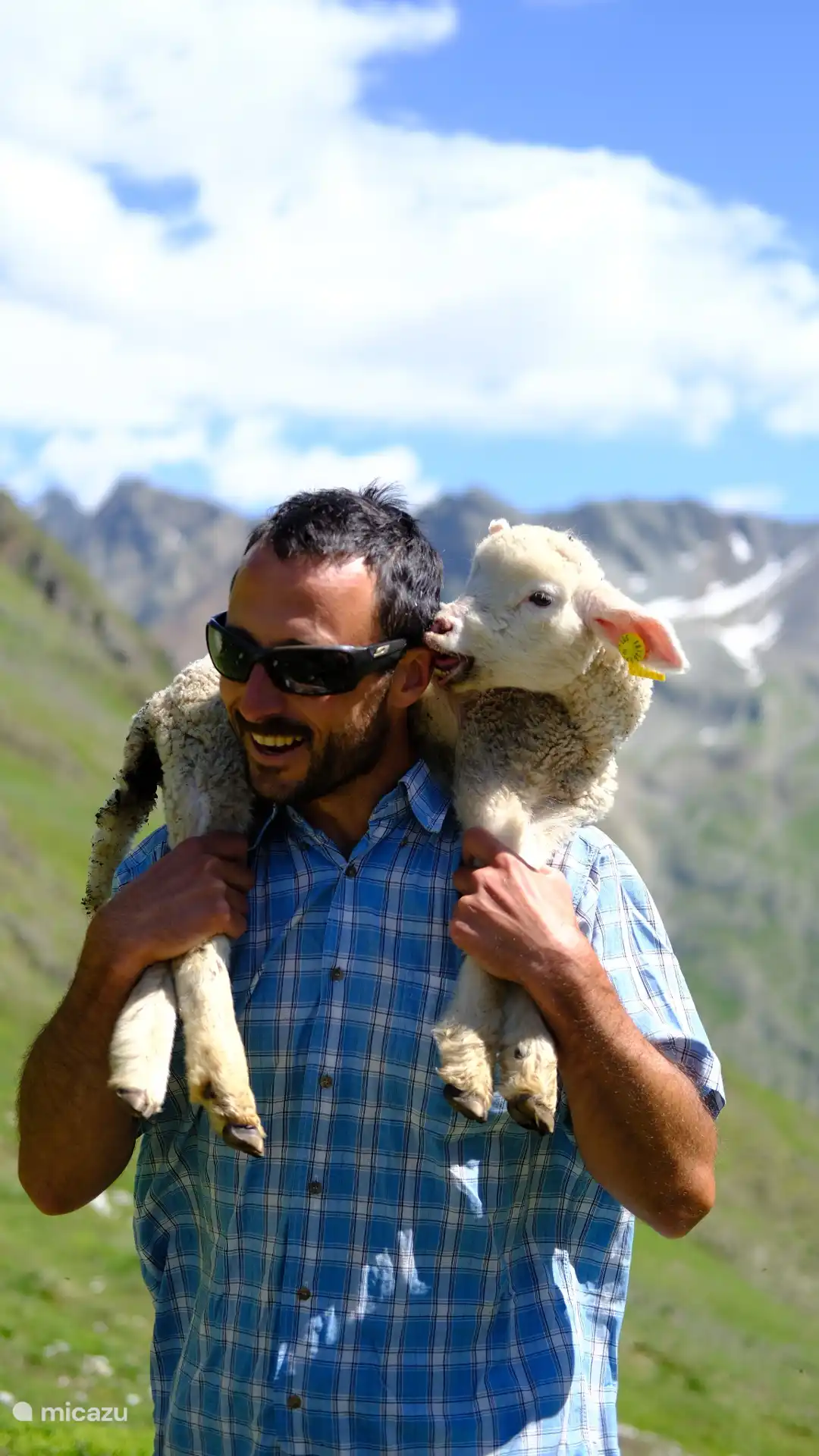 A day of shadowing the shepherds!