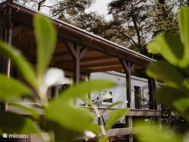 Le Goldcrest Emst | Pays-Bas, Gueldre, Emst (Epe) - chalet Ici, vous pouvez voir le roitelet huppé depuis l’entrée de la parcelle. Sur la propriété spacieuse, vous avez une vue imprenable sur les bois et le coucher de soleil par beau temps. Sur la véranda, il y a un poêle à bois pour les soirées fraîches.