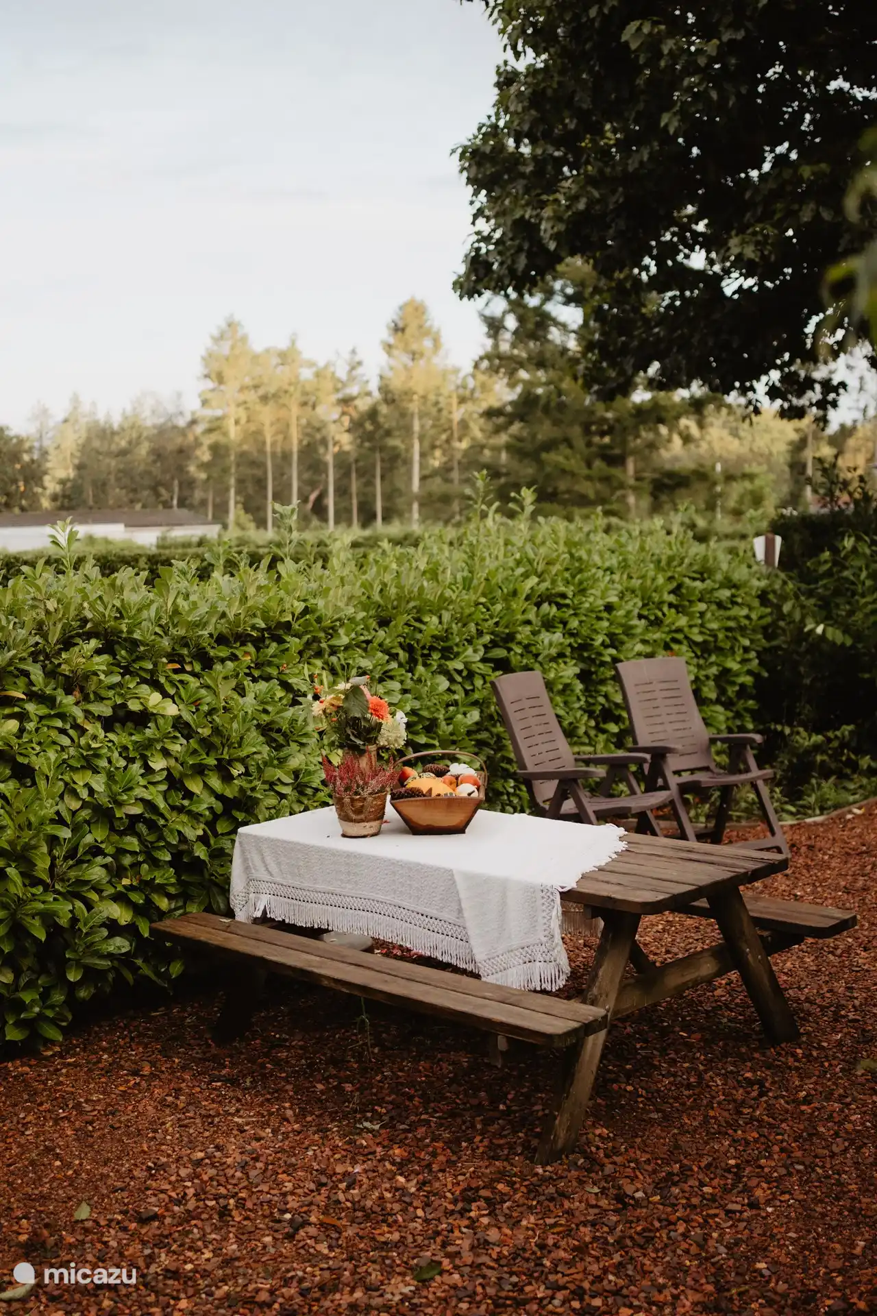 Blick auf das Krongut, Wildschweine laufen in der Abenddämmerung an der Baumreihe vorbei. ACHTUNG: Füttern Sie niemals Wildschweine, da werden sie dann aufdringlich.