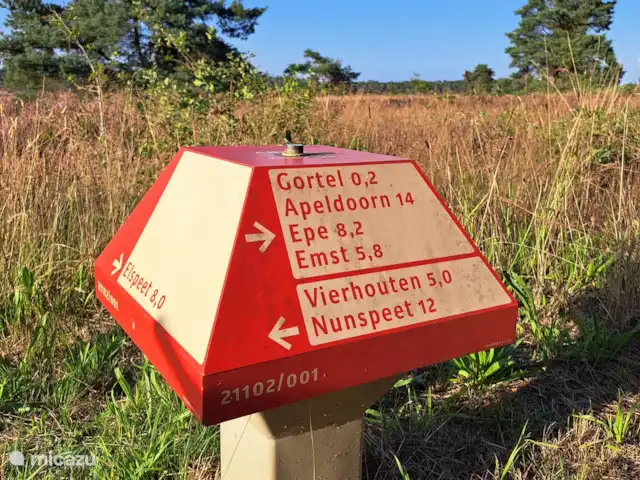 Le Goldcrest Emst | Pays-Bas, Gueldre, Emst (Epe) - chalet Environnement