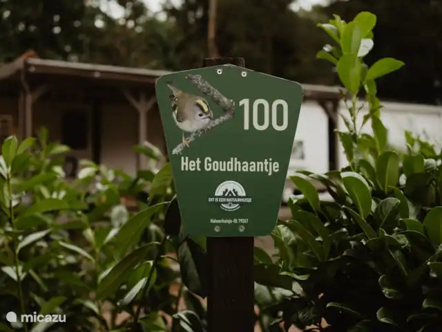 Le Goldcrest Emst | Pays-Bas, Gueldre, Emst (Epe) - chalet Lorsque vous voyez ce panneau, vous savez que vous êtes là. Ce chalet a le prédicat maison de la nature. La lumière dans un quartier calme adjacent aux domaines de la Couronne.