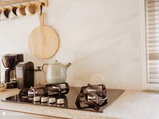 Le Goldcrest Emst | Pays-Bas, Gueldre, Emst (Epe) - chalet Une autre impression de l’atmosphère, une plaque de cuisson à gaz et suffisamment de casseroles et d’attributs pour une cuisine délicieuse ou pour un repas rapide.