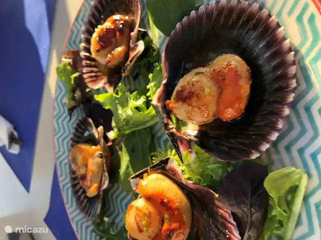 villa huren in Spanje, Costa Brava, Calonge – Villa dos hermanos Coquilles