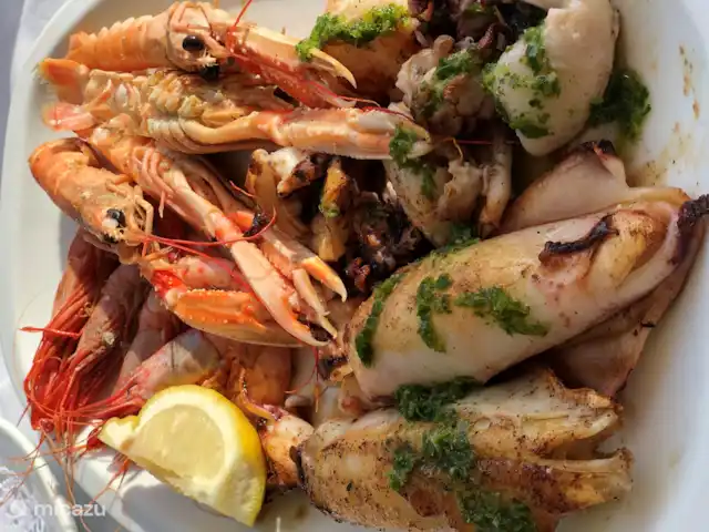 villa huren in Spanje, Costa Brava, Calonge – Villa dos hermanos Plata del dia