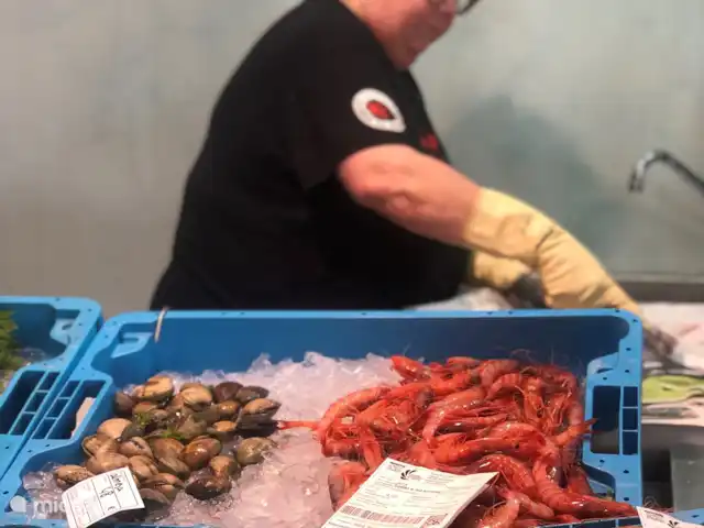 villa huren in Spanje, Costa Brava, Calonge – Villa dos hermanos Vismarkt palamos