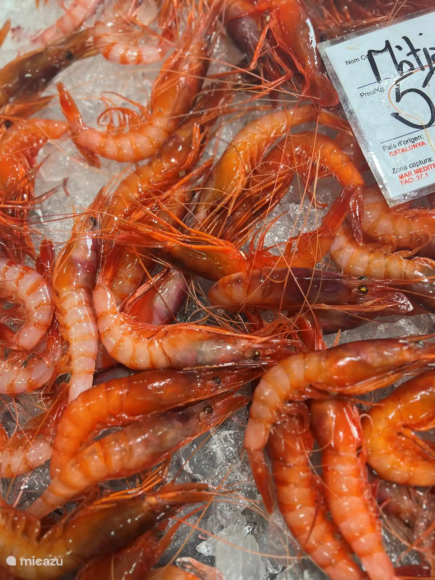 Gambas frisch vom markt