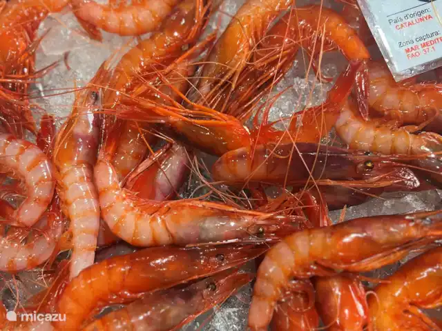 villa huren in Spanje, Costa Brava, Calonge – Villa dos hermanos Garnalen vers van de markt