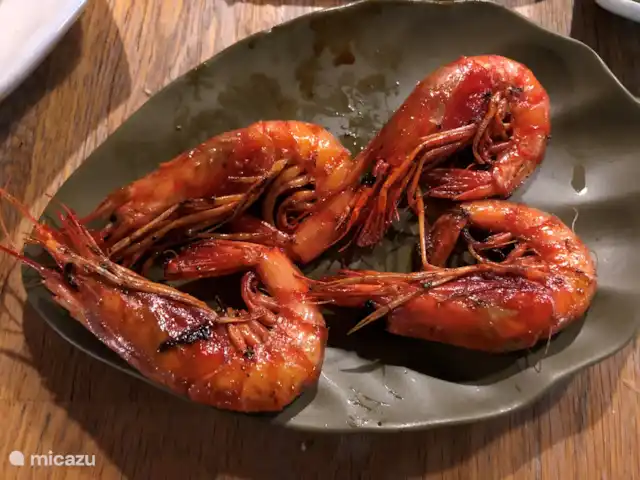 villa huren in Spanje, Costa Brava, Calonge – Villa dos hermanos Gambas a la palamos