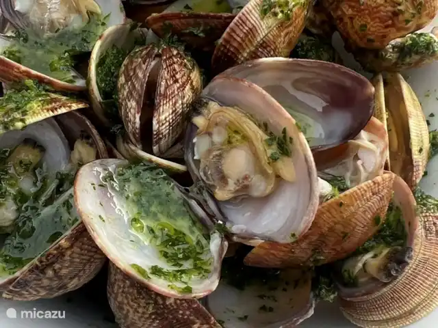 villa huren in Spanje, Costa Brava, Calonge – Villa dos hermanos Voedsel