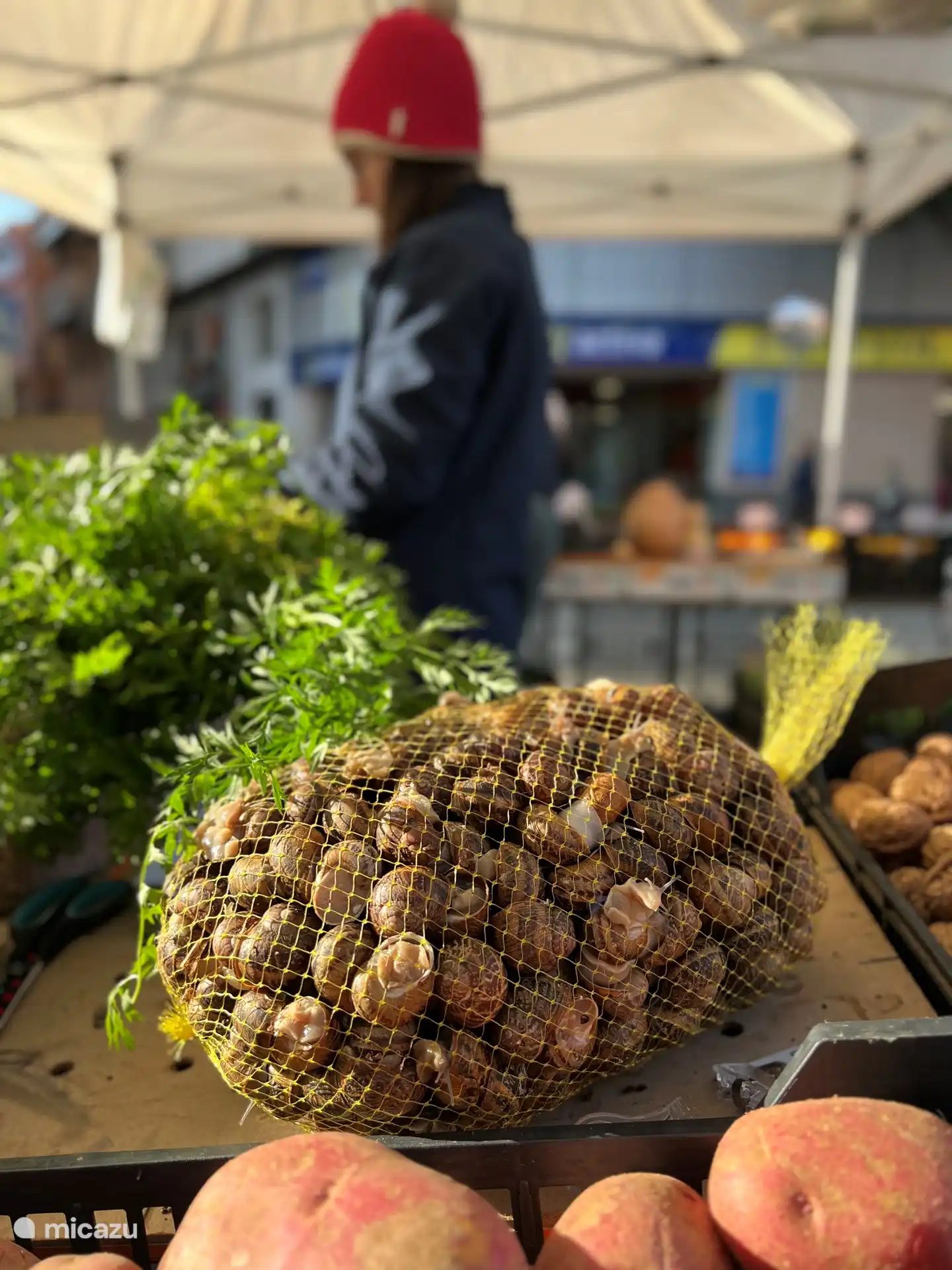 Schnecken vom Markt in La bisbal 