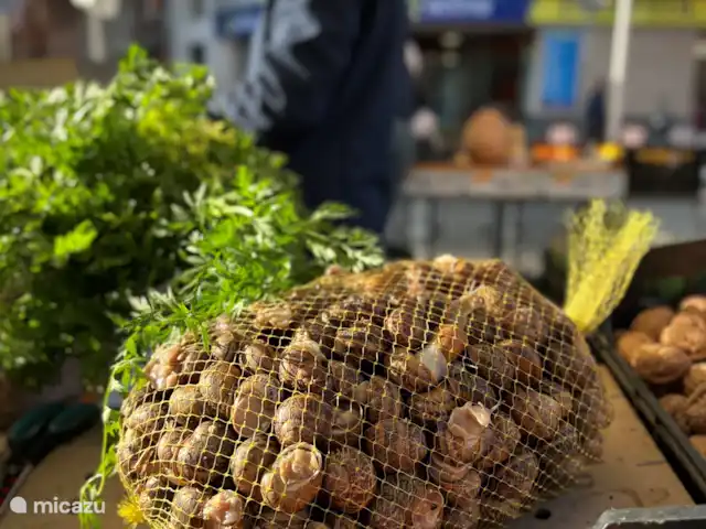 villa huren in Spanje, Costa Brava, Calonge – Villa dos hermanos Slakken van de markt in La bisbal