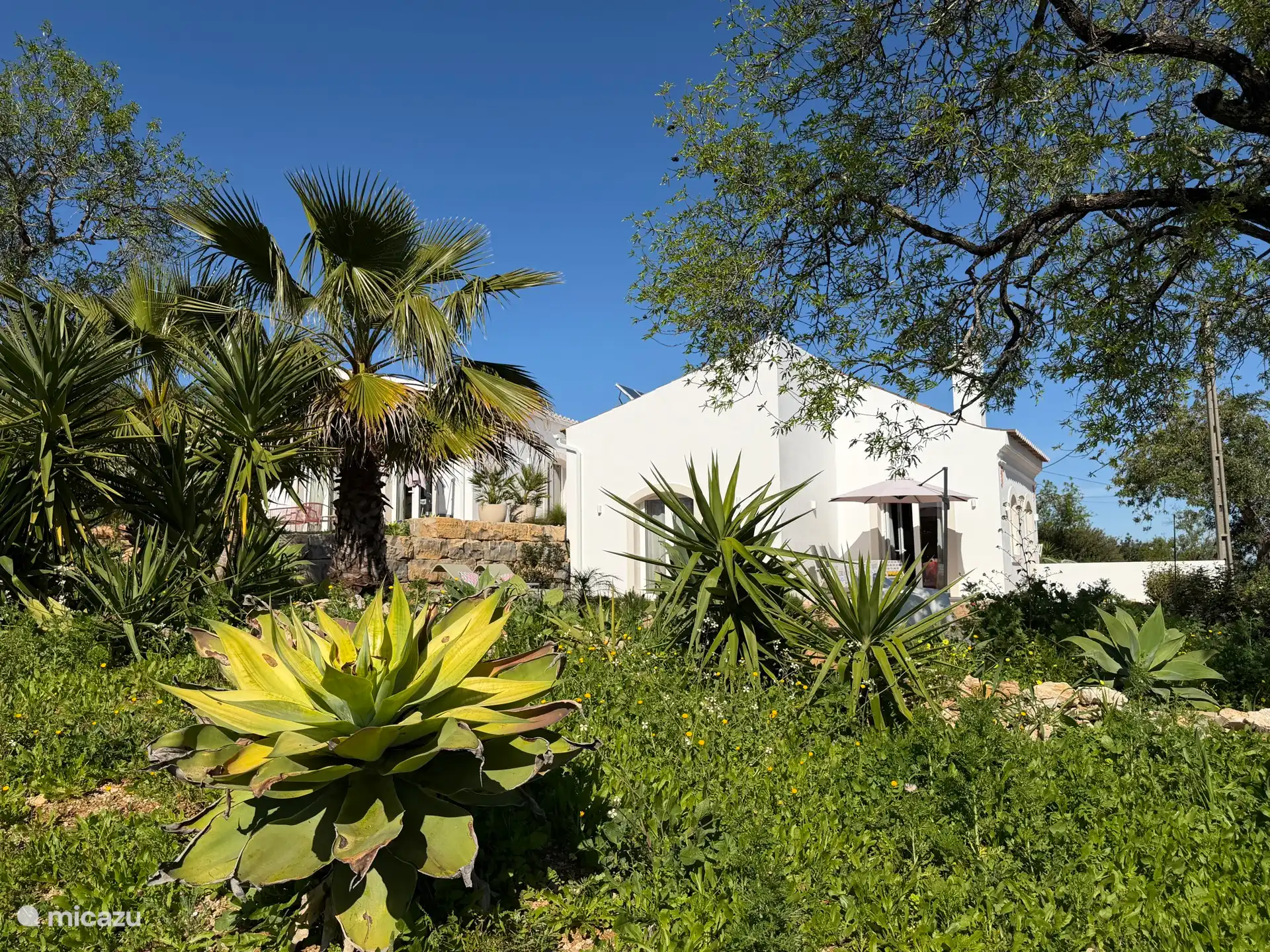 Vue latérale de la Casa Pauline avec terrasse privée et grand jardin. Derrière les palmiers Casa Florine