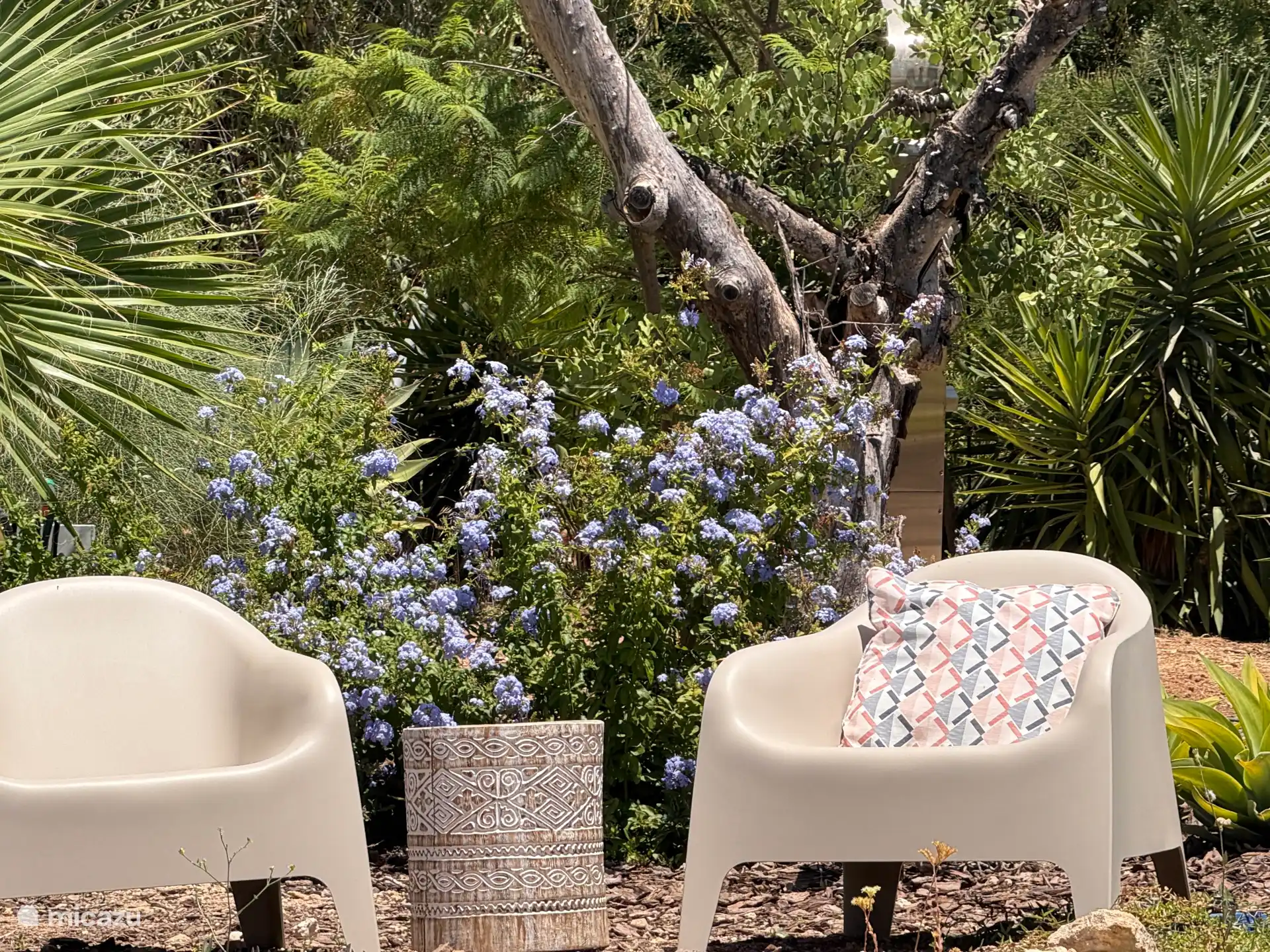 Places assises au bord de la piscine dans le jardin méditerranéen partagé de Boutique Guesthouse-Moncarapacho