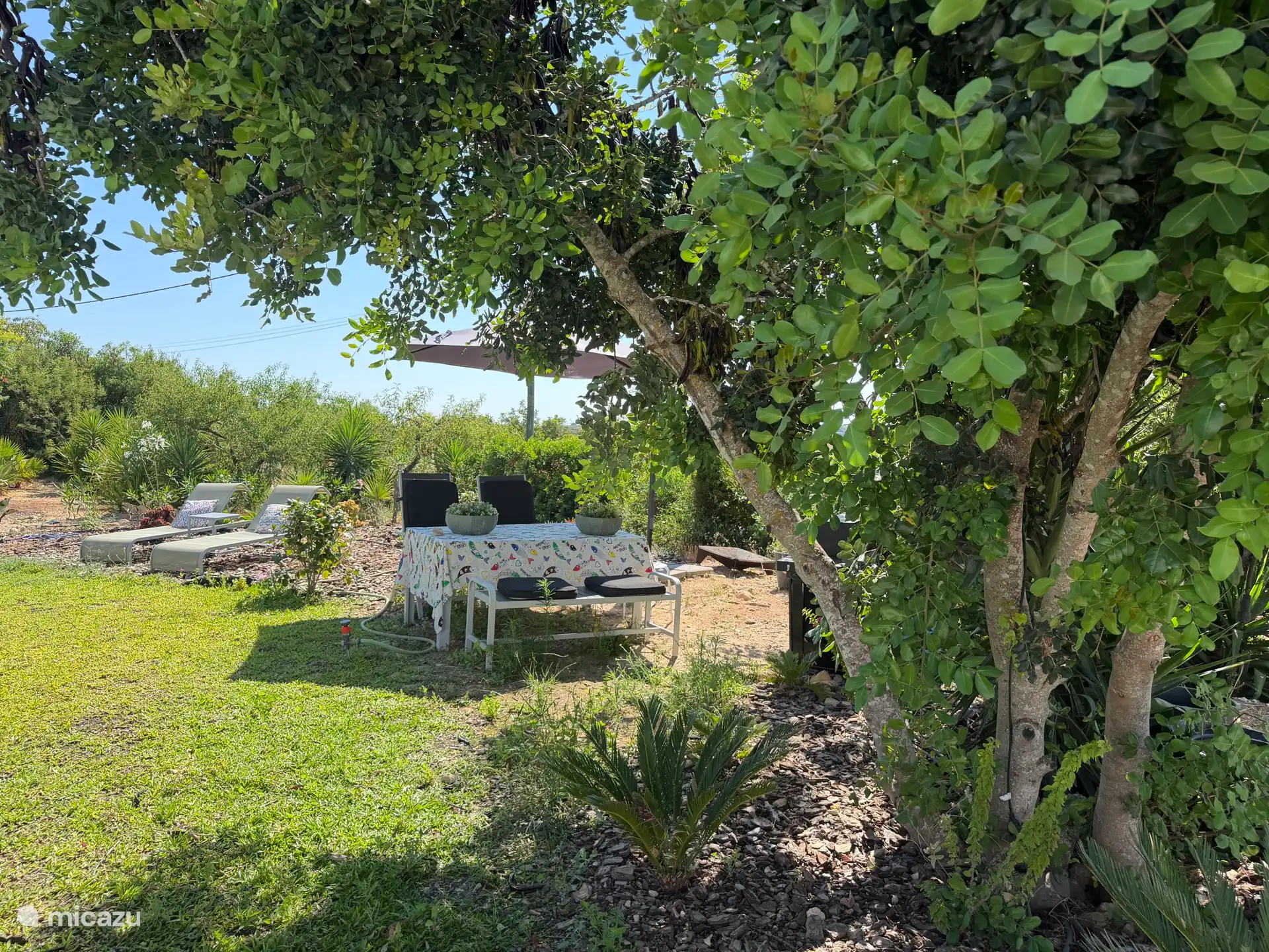 Sous le caroube et l’amandier se trouve l’espace barbecue dans le vaste jardin méditerranéen partagé.