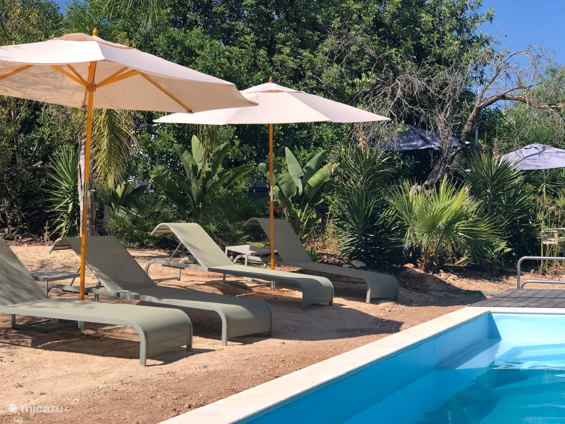 Sonnenliegen am Pool