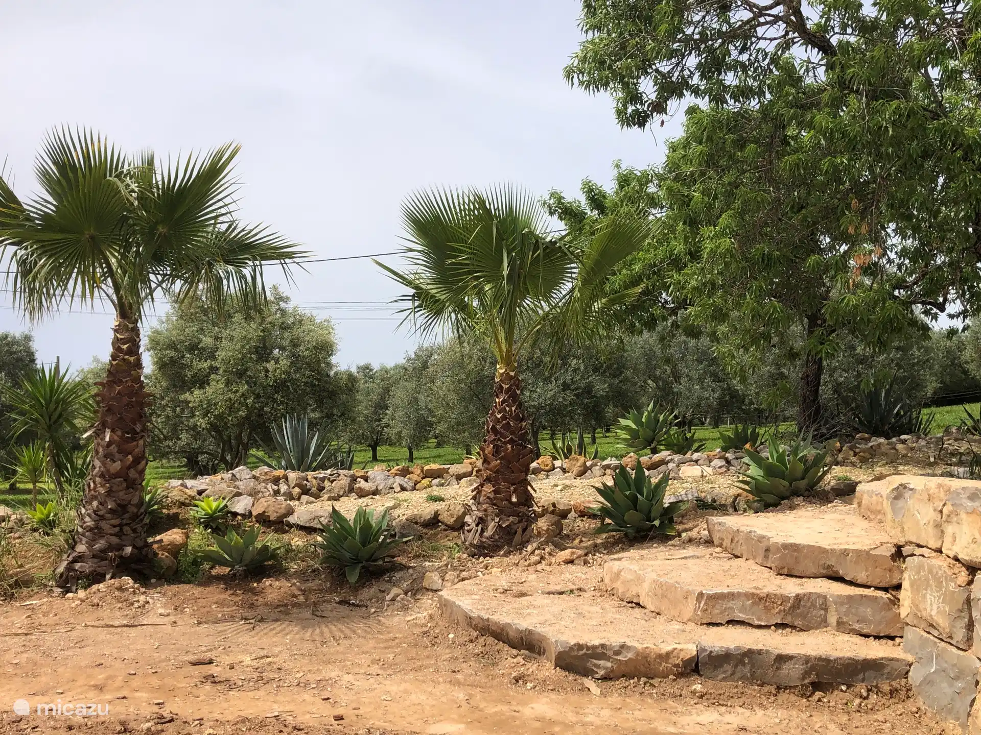 Jardin méditerranéen