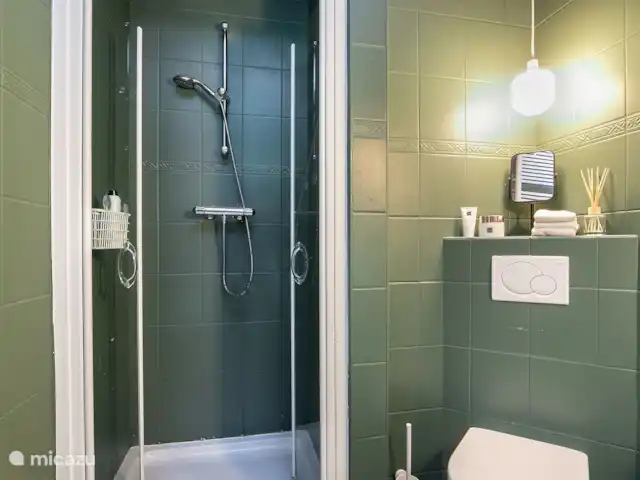 Chalet forestier atmosphérique | Pays-Bas, Overijssel, Giethmen - bungalow Salle de bain avec douche et WC