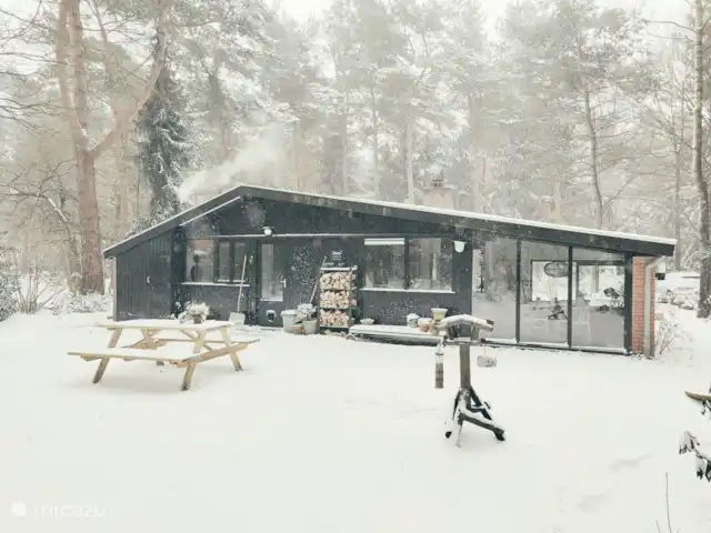 Chalet forestier atmosphérique | Pays-Bas, Overijssel, Giethmen - bungalow Chalet en hiver