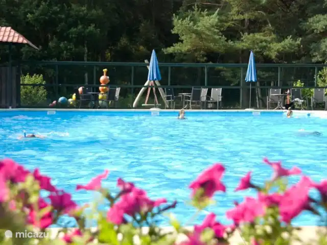 Chalet forestier atmosphérique | Pays-Bas, Overijssel, Giethmen - bungalow Piscine