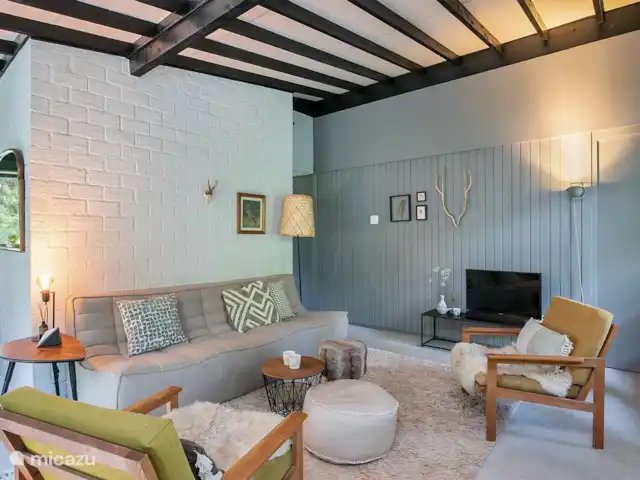 Chalet forestier atmosphérique | Pays-Bas, Overijssel, Giethmen - bungalow Salon avec canapé et fauteuils confortables