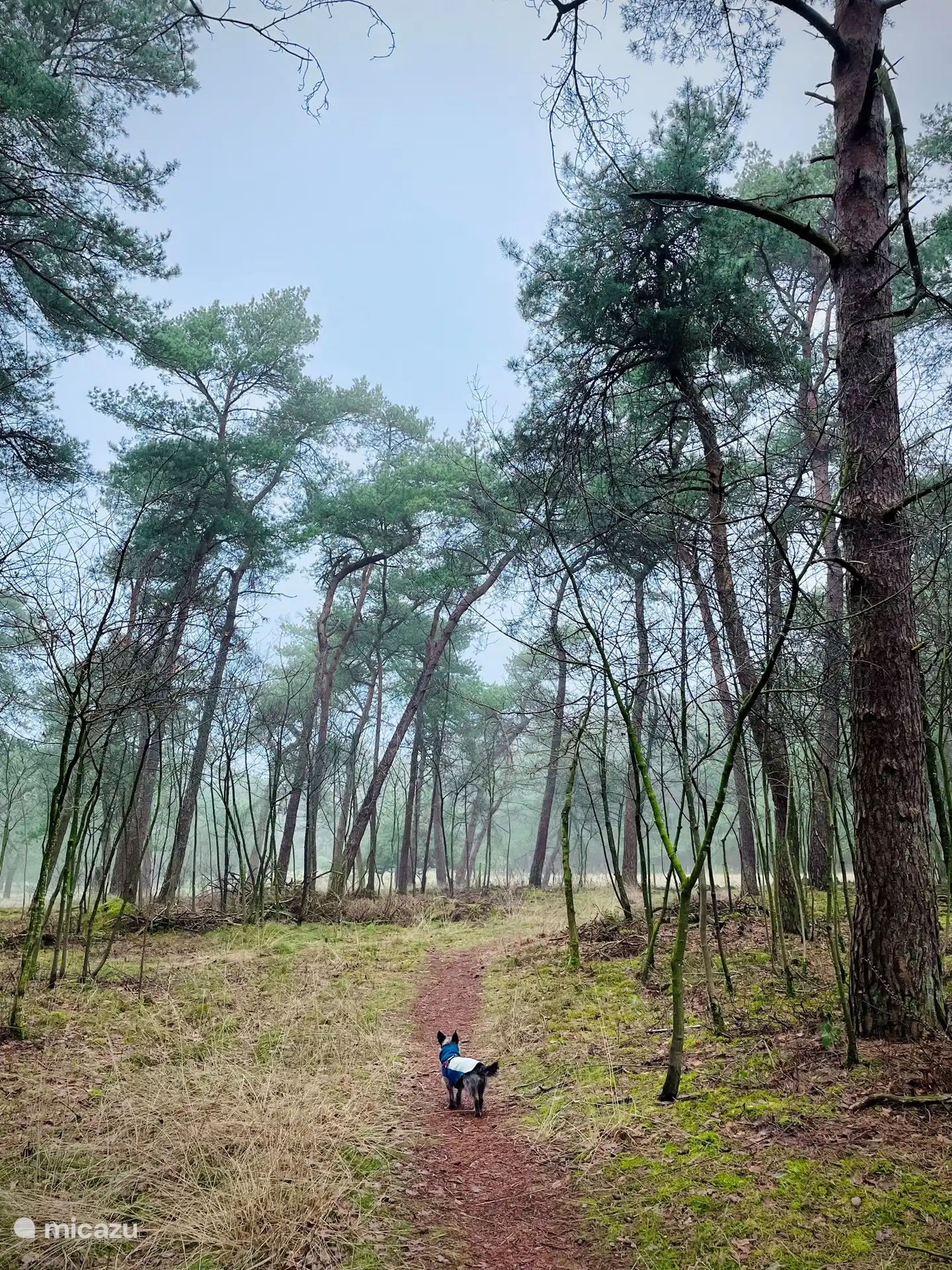 Das Wandergebiet beginnt direkt hinter der Hütte.