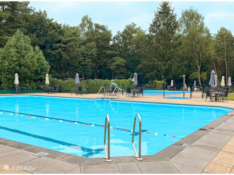 Bungalow forestier Oosterhaard | Pays-Bas, Overijssel, Ommen - Bungalow Bungalow forestier Oosterhaard | Pays-Bas, Overijssel, Ommen - Bungalow
