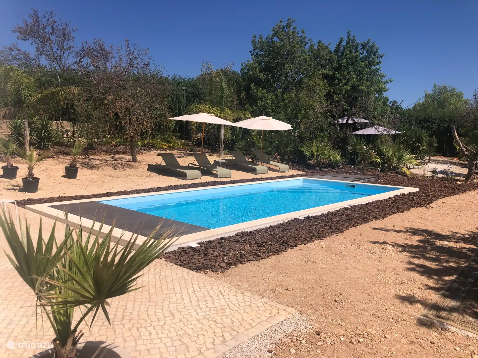 Gemeinschaftlicher Swimmingpool