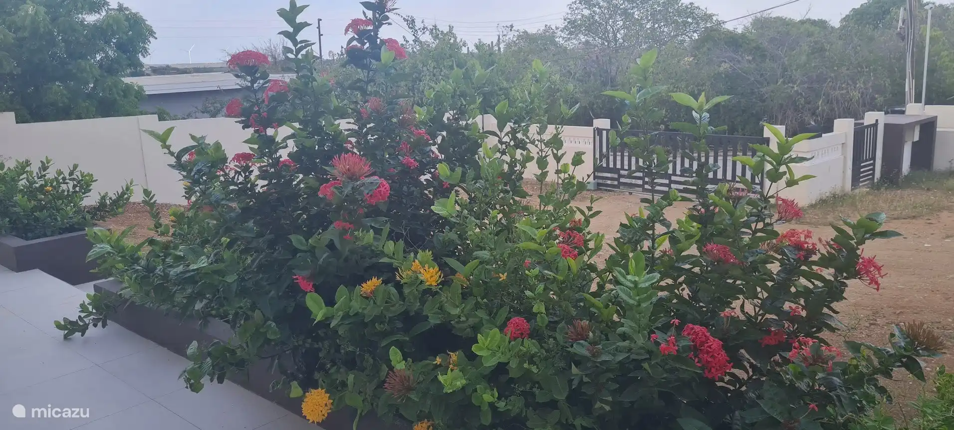 Zicht vanuit veranda naar de poort 