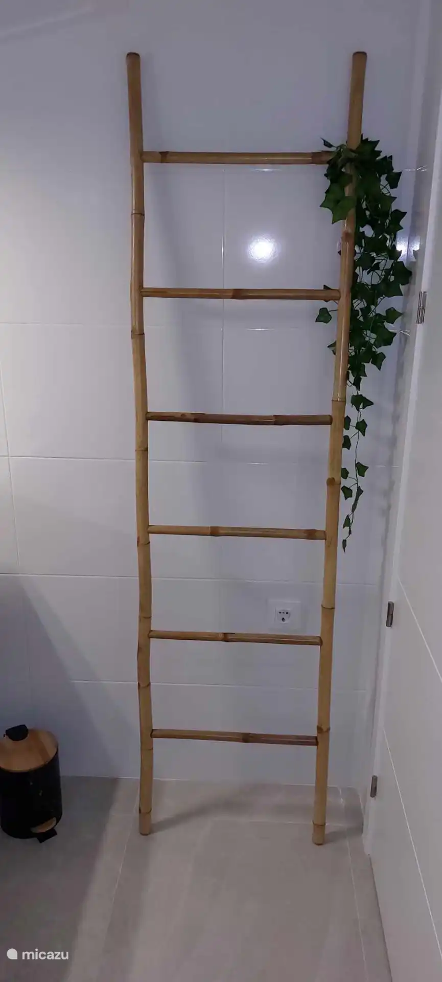 Ambos baños tienen escaleras para llevar / secar la ropa