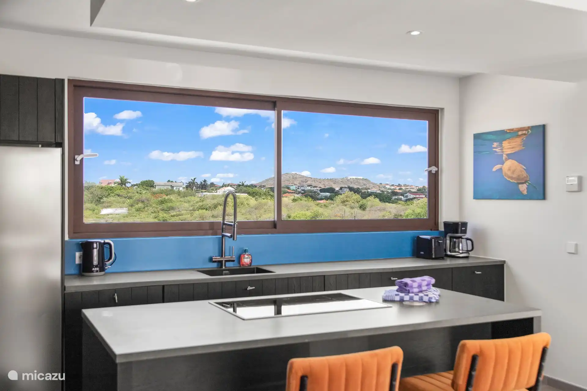 Ruime stijlvolle keuken met uitzicht