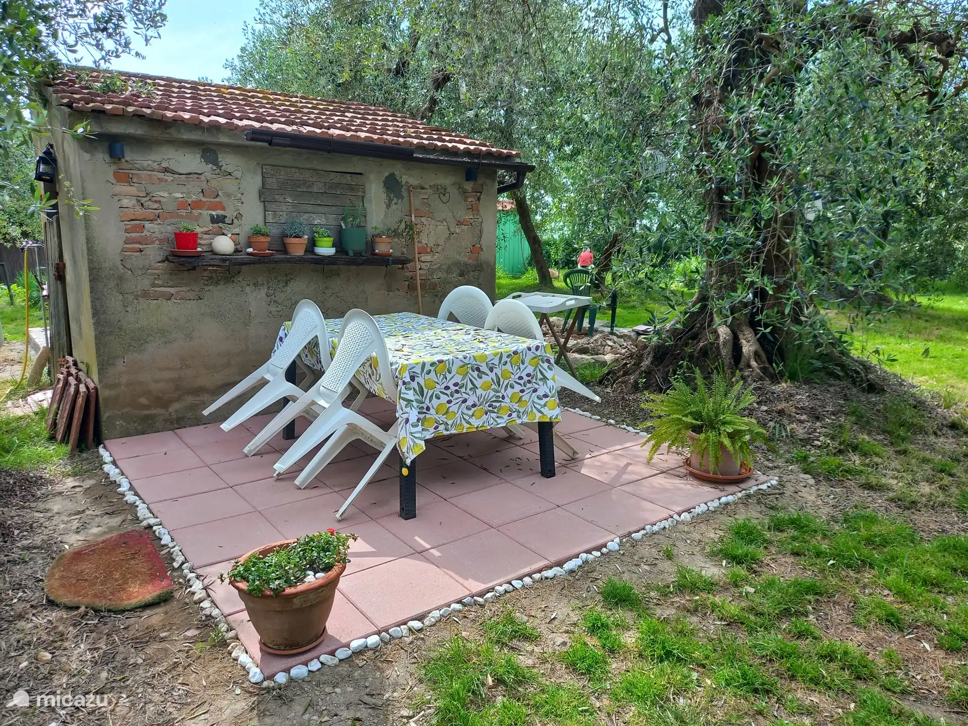 Terrace for breakfast, lunch or dinner under the olive trees...