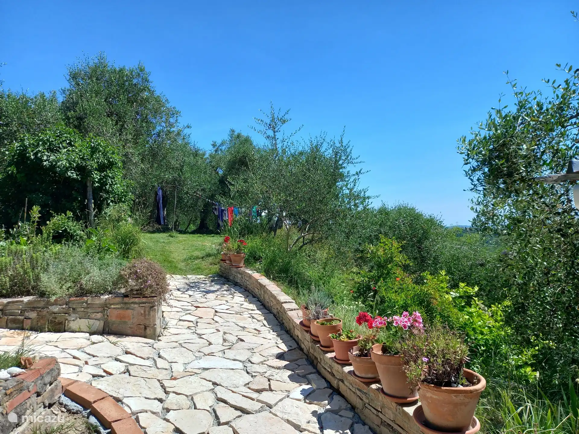 Street to the garden