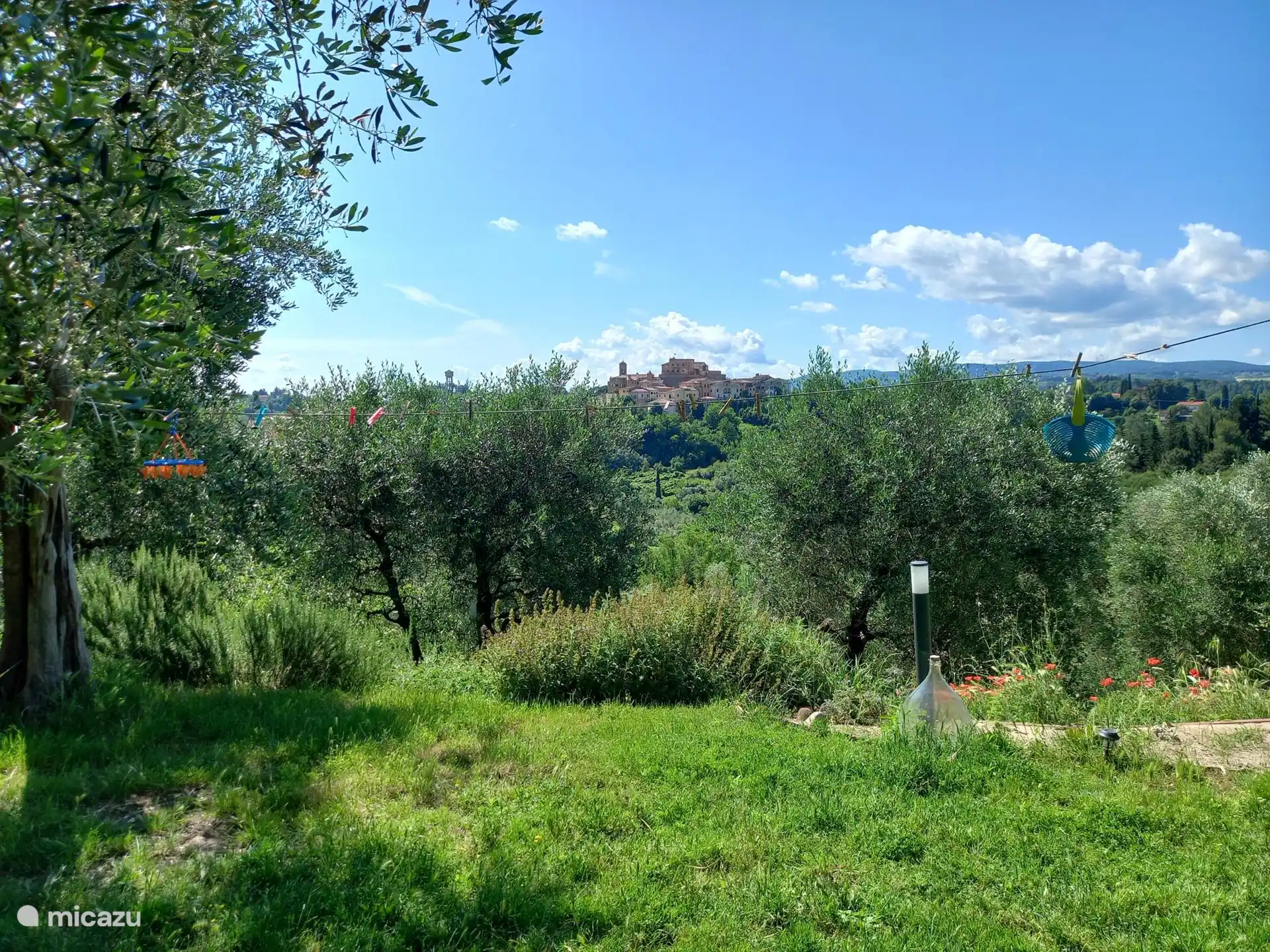 View from outdoor shower