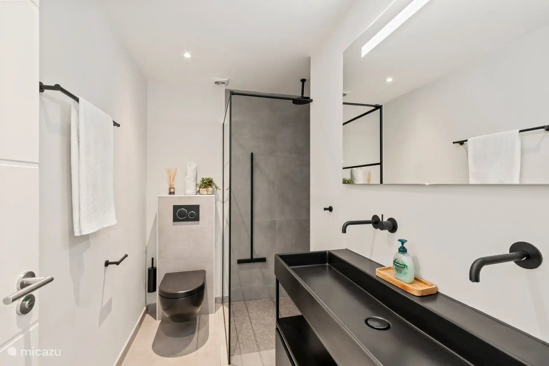 Badkamer 1 met regendouche en toilet