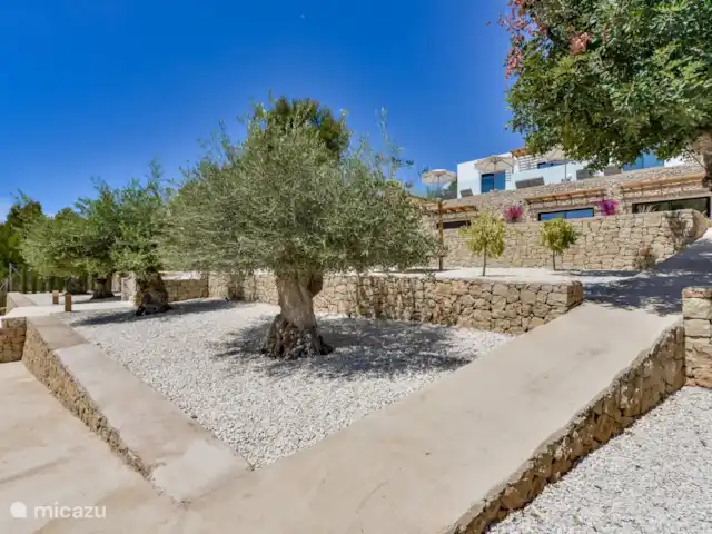 Villa Lujo en España, Costa Blanca, Benissa - villa Hay varios olivos en el jardín. Hay 4 olivos de más de 100 años de antigüedad.