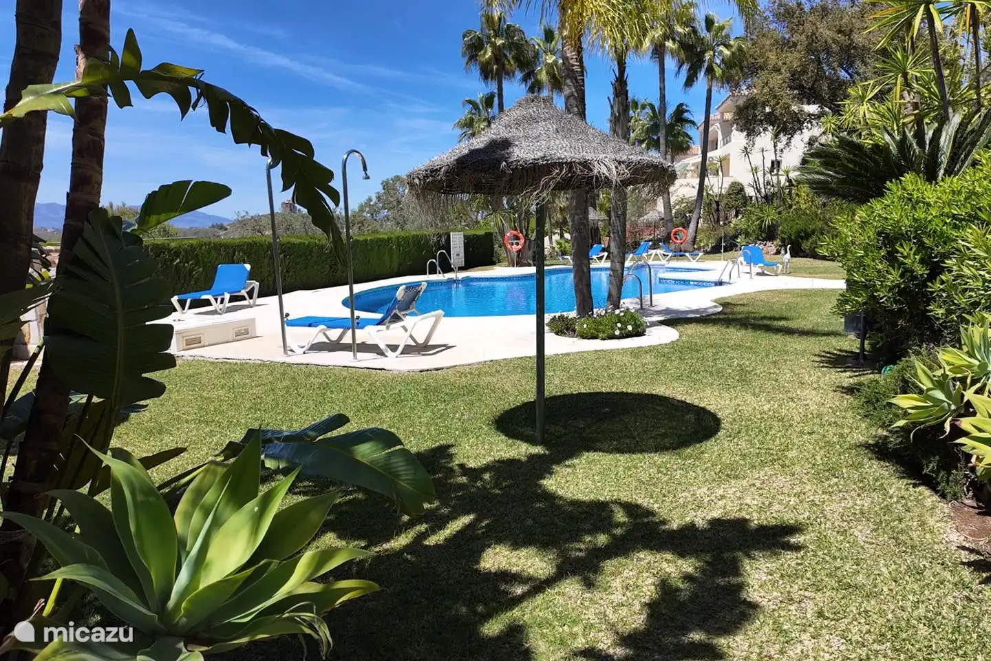 gemeenschappelijk zwembad 