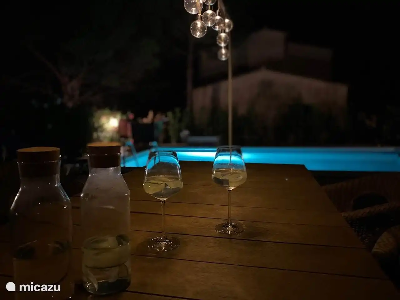 Impression of the backyard from the lawn and tafl