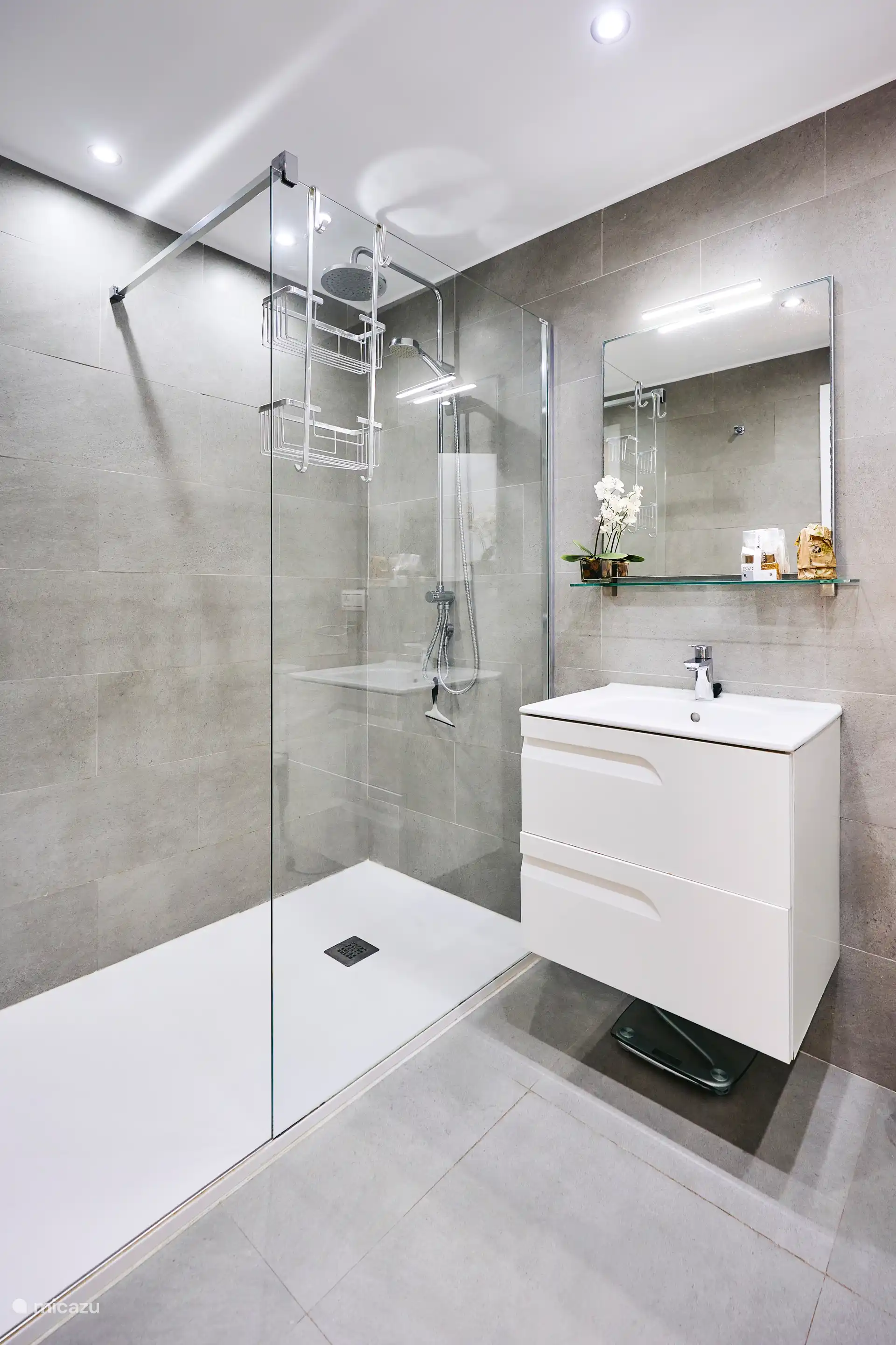 Douche avec douche à effet pluie.